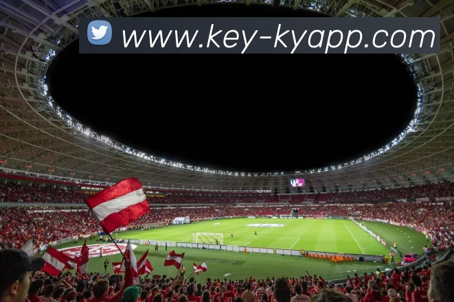 开云体育服务体系