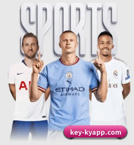 五个功能入口,赛程查询路径更短 | kaiyunsport